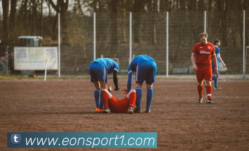 多媒体互动体验